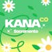 The Kana Company