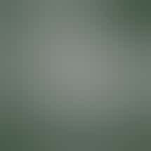 Flora Farms - Springfield