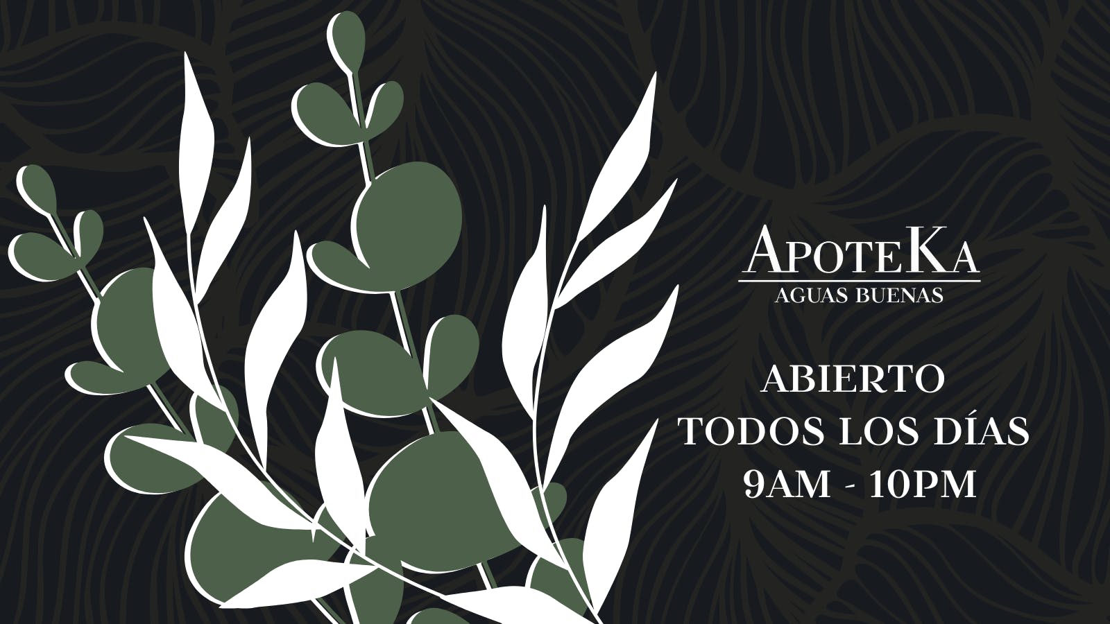 ApoteKa - Aguas Buenas listing banner