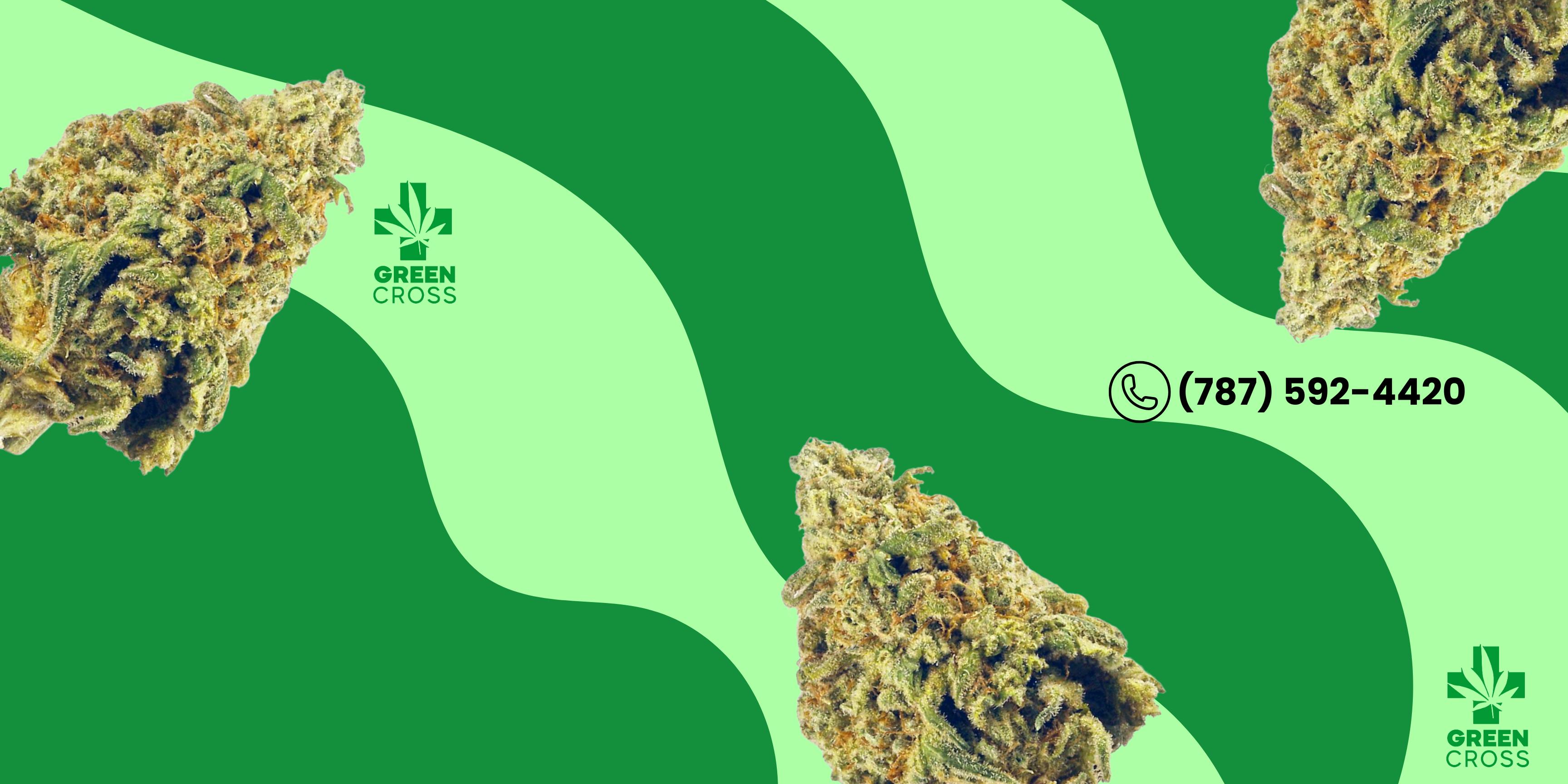 Green Cross listing banner