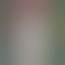 Swish Cannabis NoHo - North Hollywood Weed Dispensary