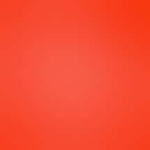 The Travel Agency: A Cannabis Store (Union Square)