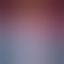 Vice Cannabis Dispensary - Forest Ave.