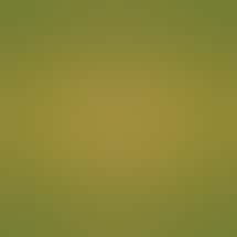 Daylite Cannabis