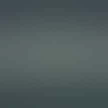 Silver Stem Drive-Thru Portland Hayden Island