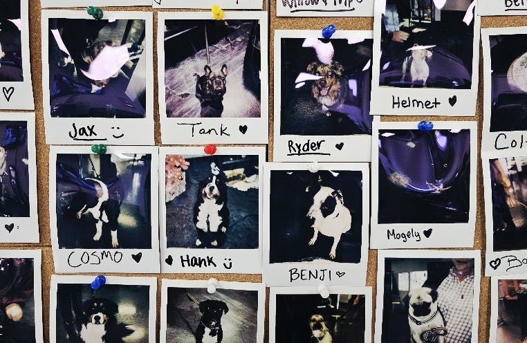 Confidential Cannabis - Broomfield listing banner