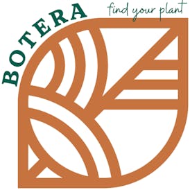 Botera - Taunton