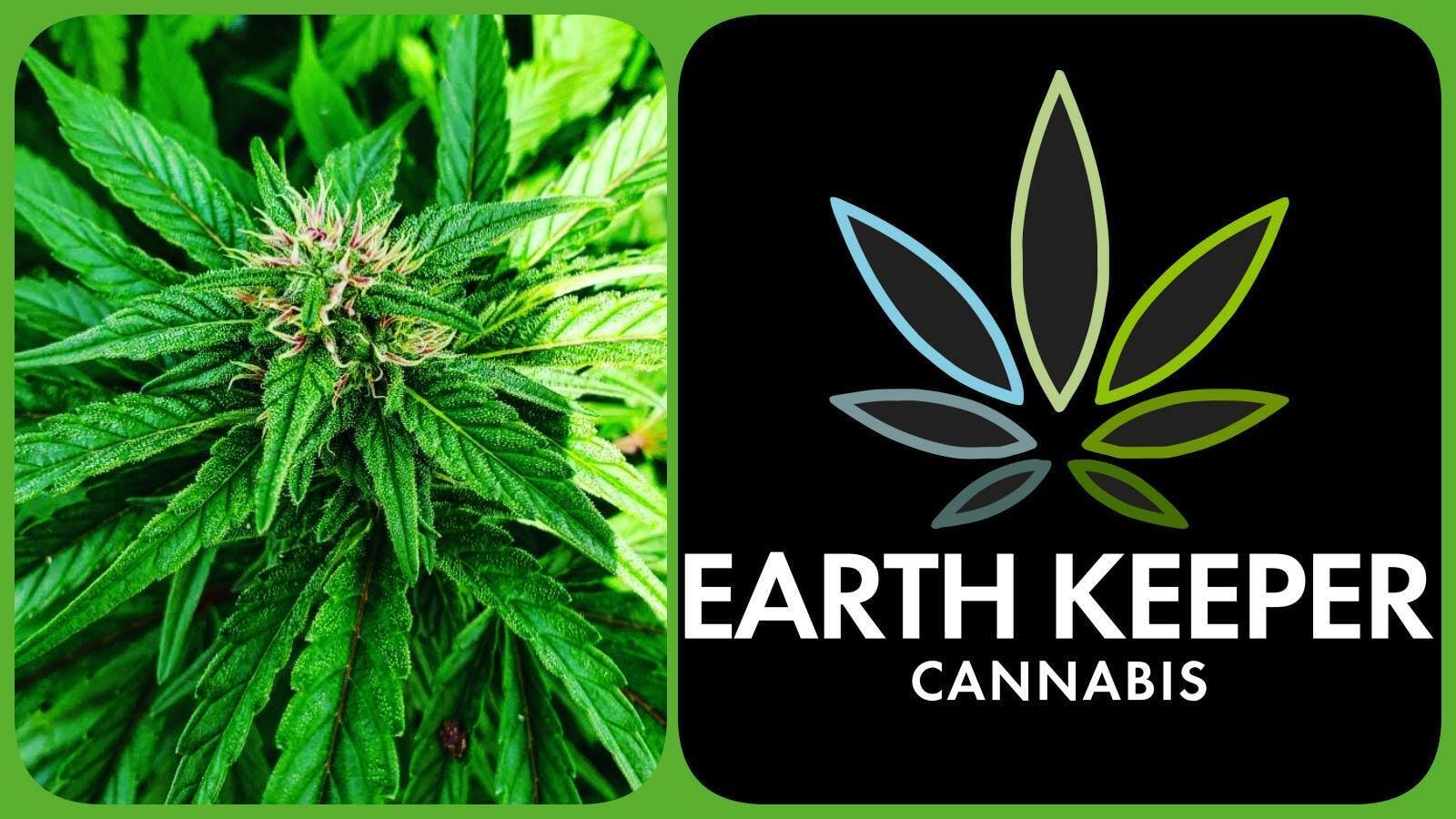 Earth Keeper Cannabis - Dixfield listing banner