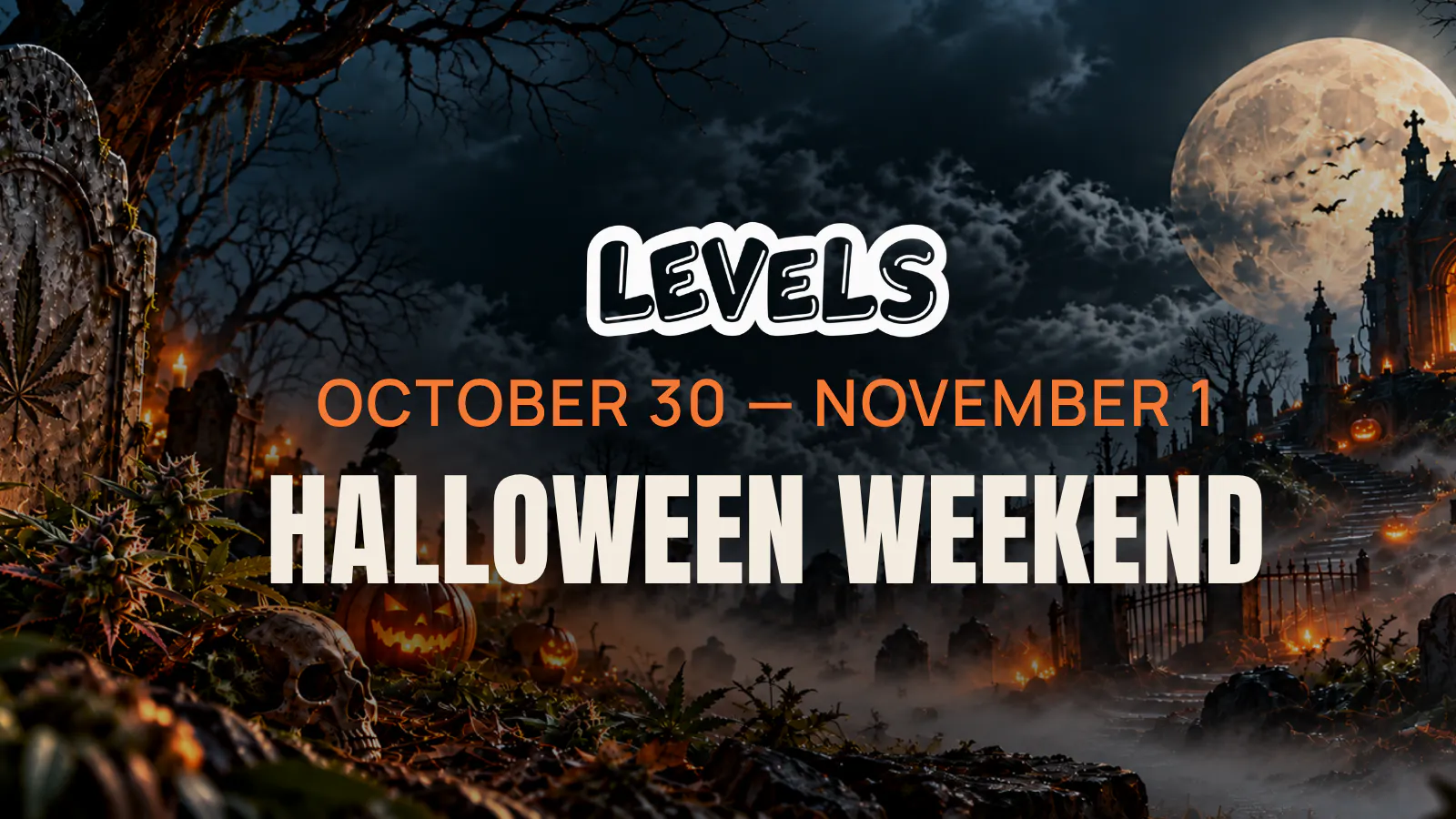 Levels - Modesto listing banner
