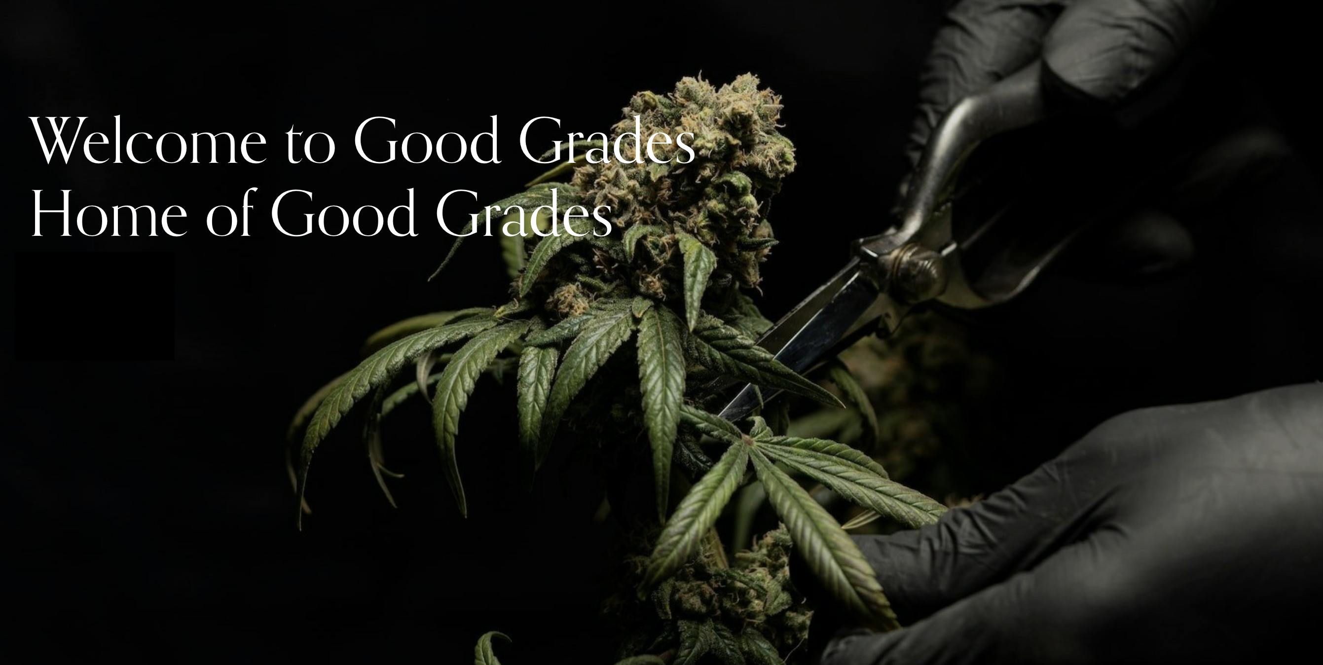 Good Grades listing banner