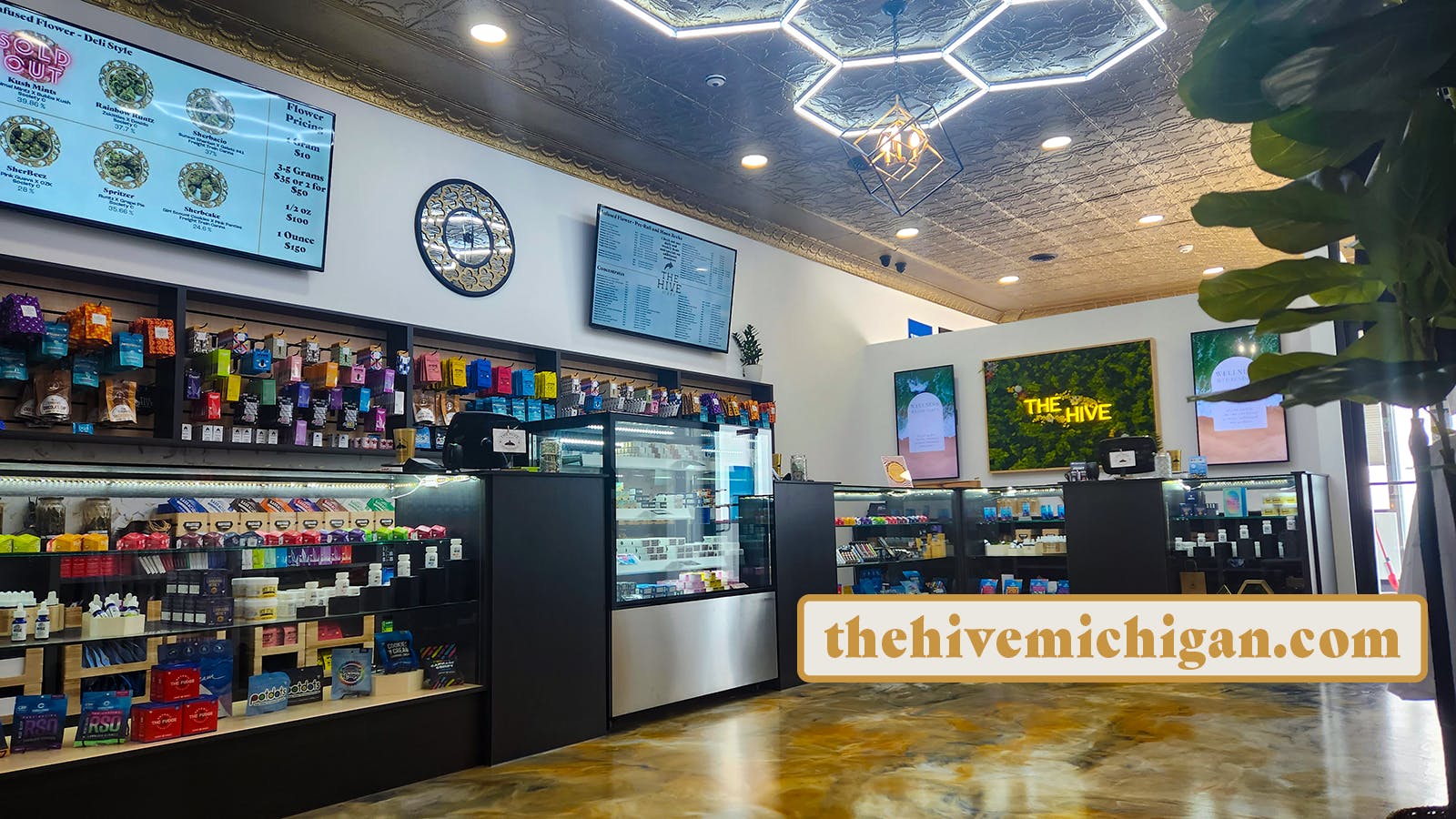The Hive at BDT listing banner