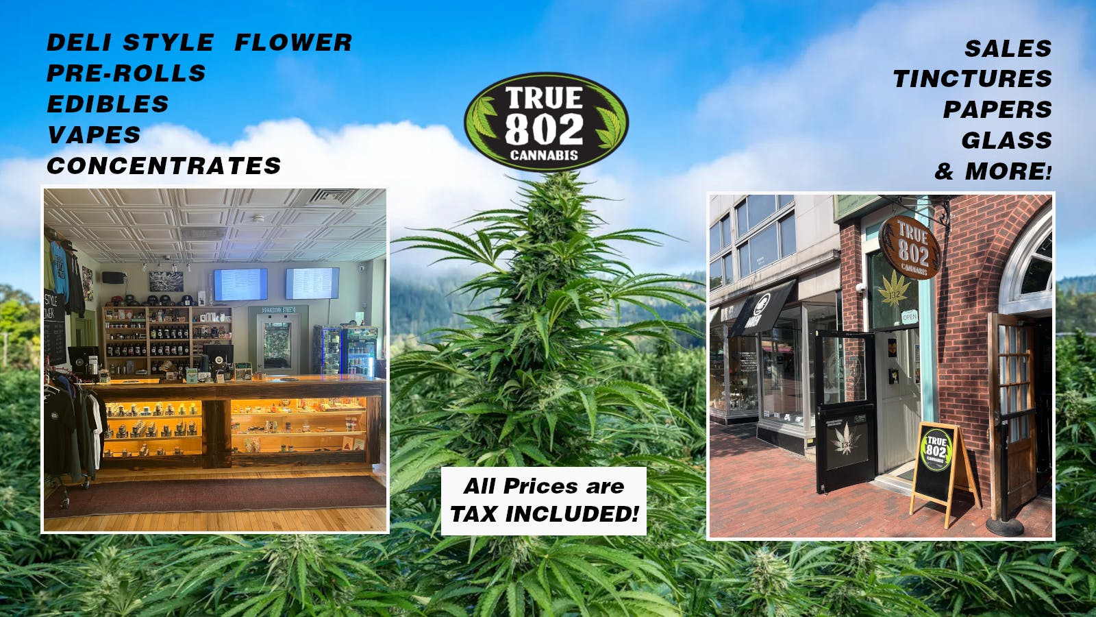 True 802 Cannabis listing banner