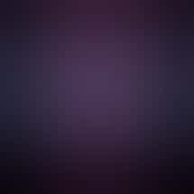 Bubblegum Dispensary