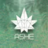 ASHE Society - Pomona
