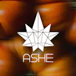 ASHE Society - Pomona