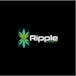 Ripple Cannabis Co