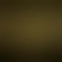 High Rollers Recreational