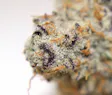 Three Rivers Dispensary Denver