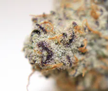 Three Rivers Dispensary Denver MED