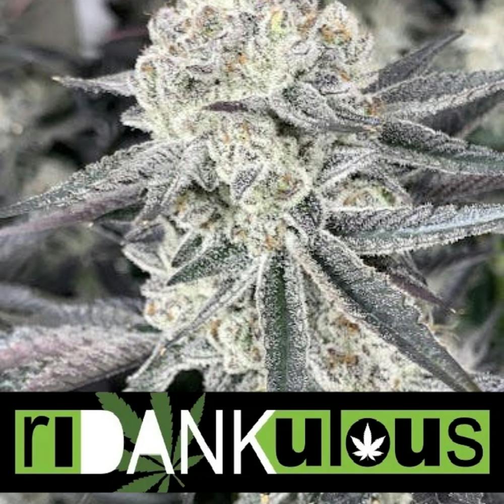 Ridankulous Alamogordo