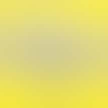 Mr Nice Guy Cannabis Marijuana and Weed dispensary - Costa Mesa