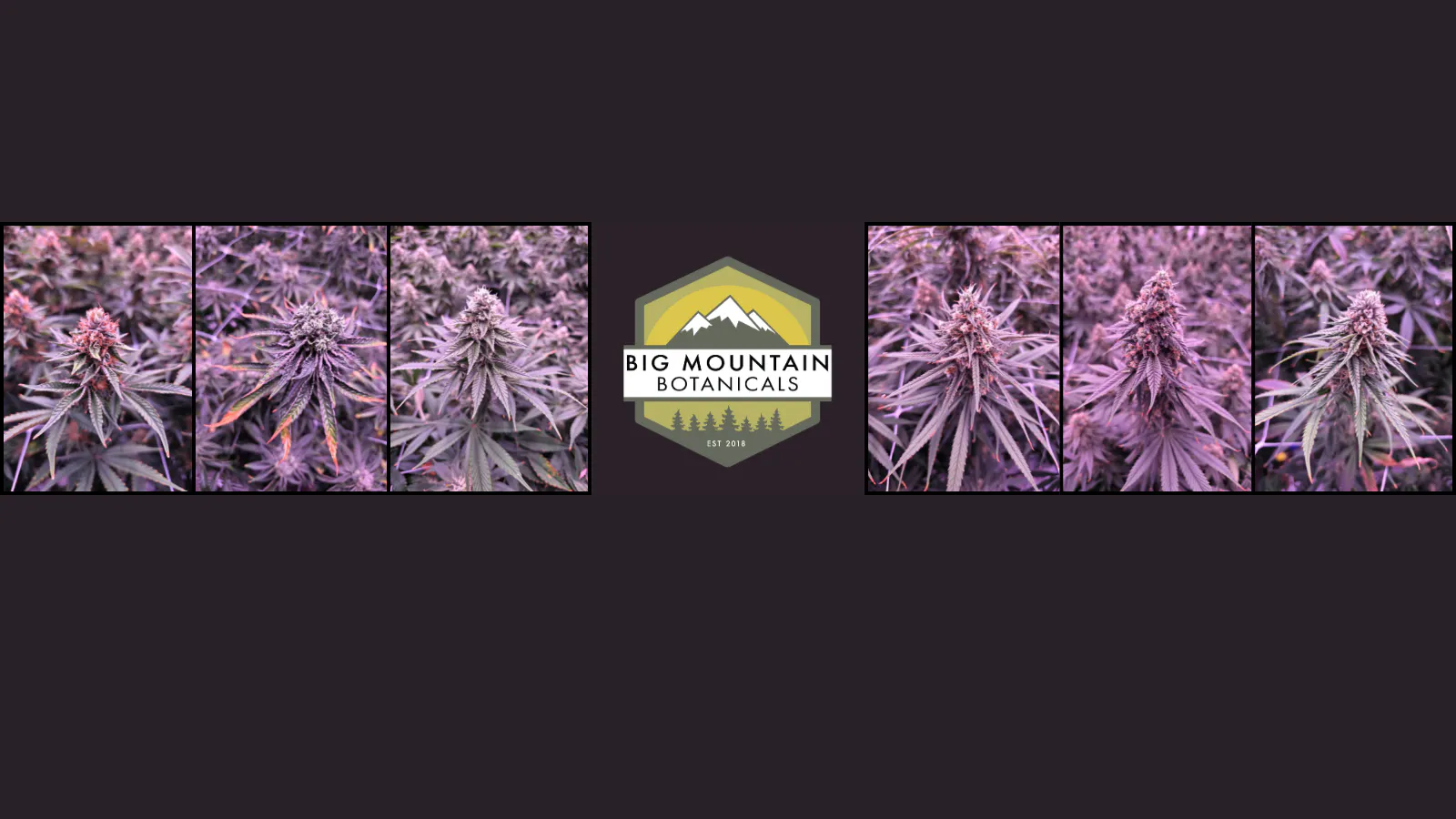 Big Mountain Botanicals - South Kalispell listing banner