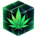 Y&Z Grow LLC