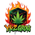 Y&Z Grow LLC