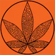Gas Gas Medical