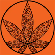 Gas Gas Medical