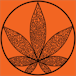 Gas Gas Medical