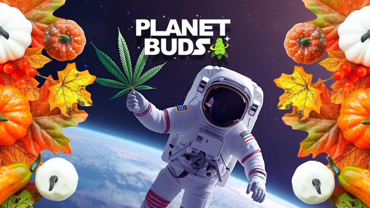 Planet Buds listing banner