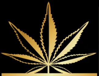 Rolling Cannabis