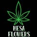 Mesa Flowers Canna Co