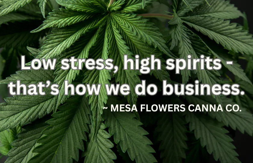 Mesa Flowers Canna Co listing banner