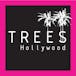 Trees Hollywood