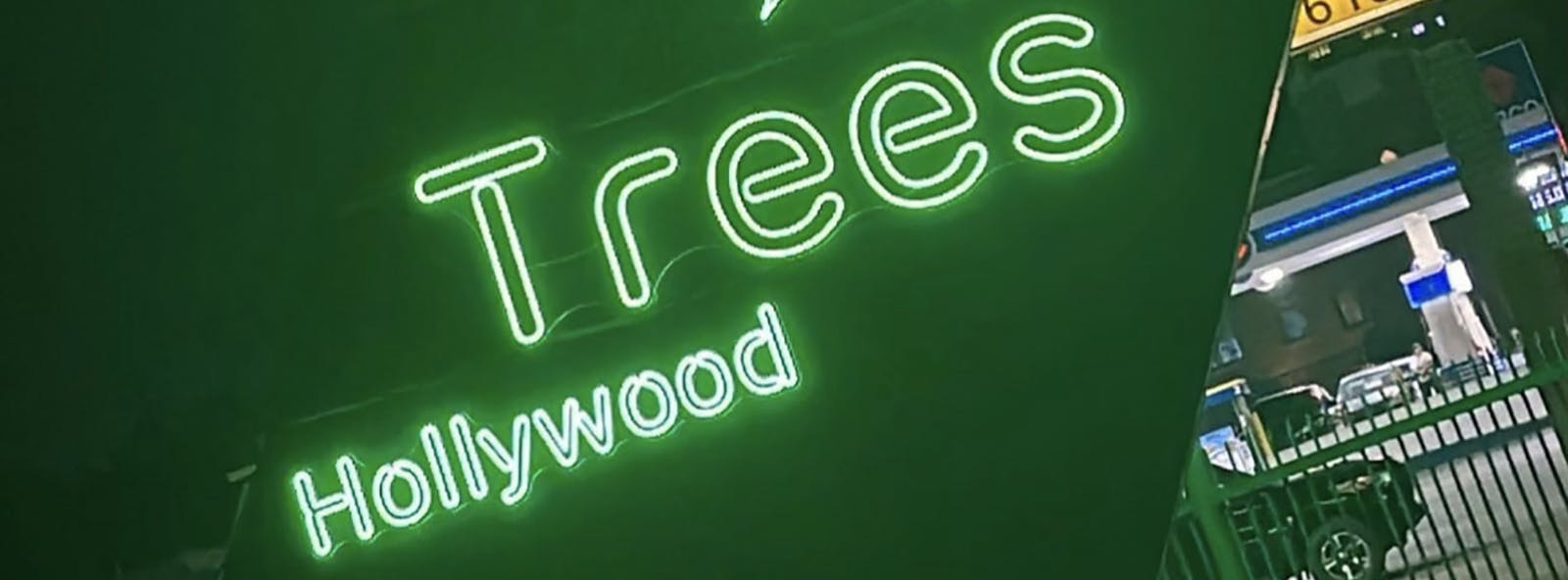 Trees Hollywood listing banner