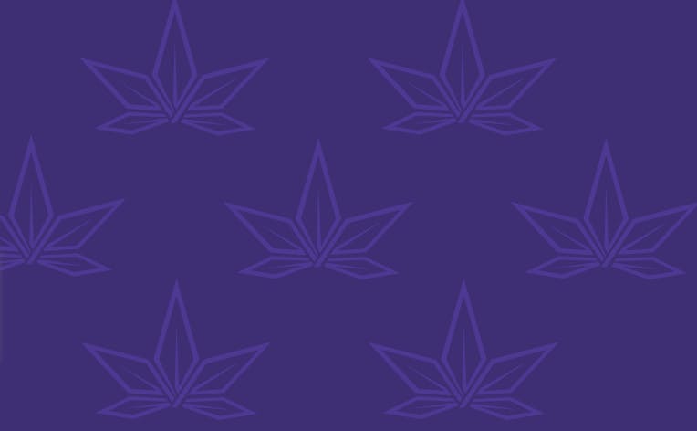 Strain Stars - Farmingdale listing banner