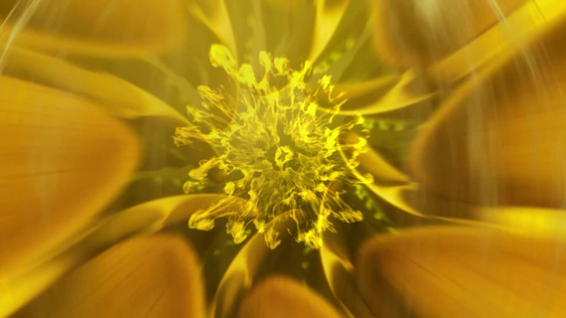 Cookies Weed Dispensary Albuquerque listing banner