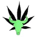 The Green Buffalo Dispensary
