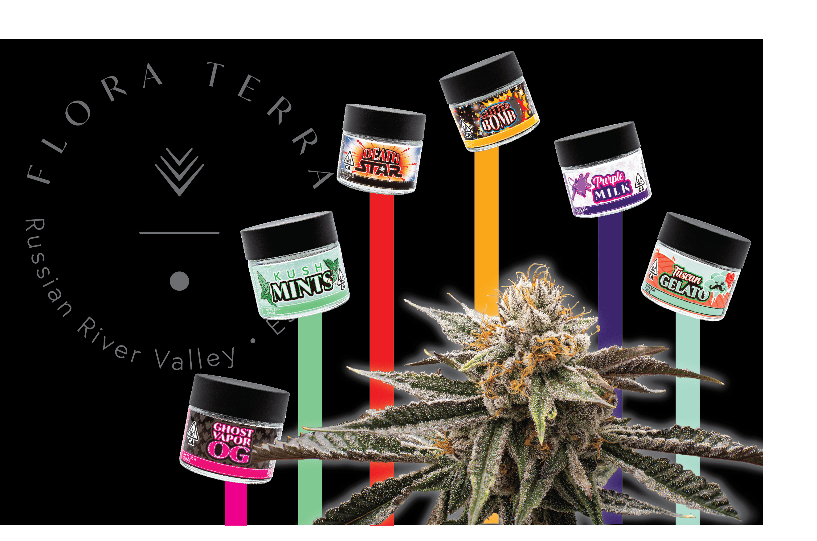 Flora Terra - 4th Street listing banner