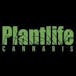 Plantlife Cannabis - Dalhousie