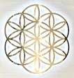 Flower of Life