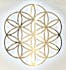 Flower of Life