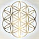 Flower of Life