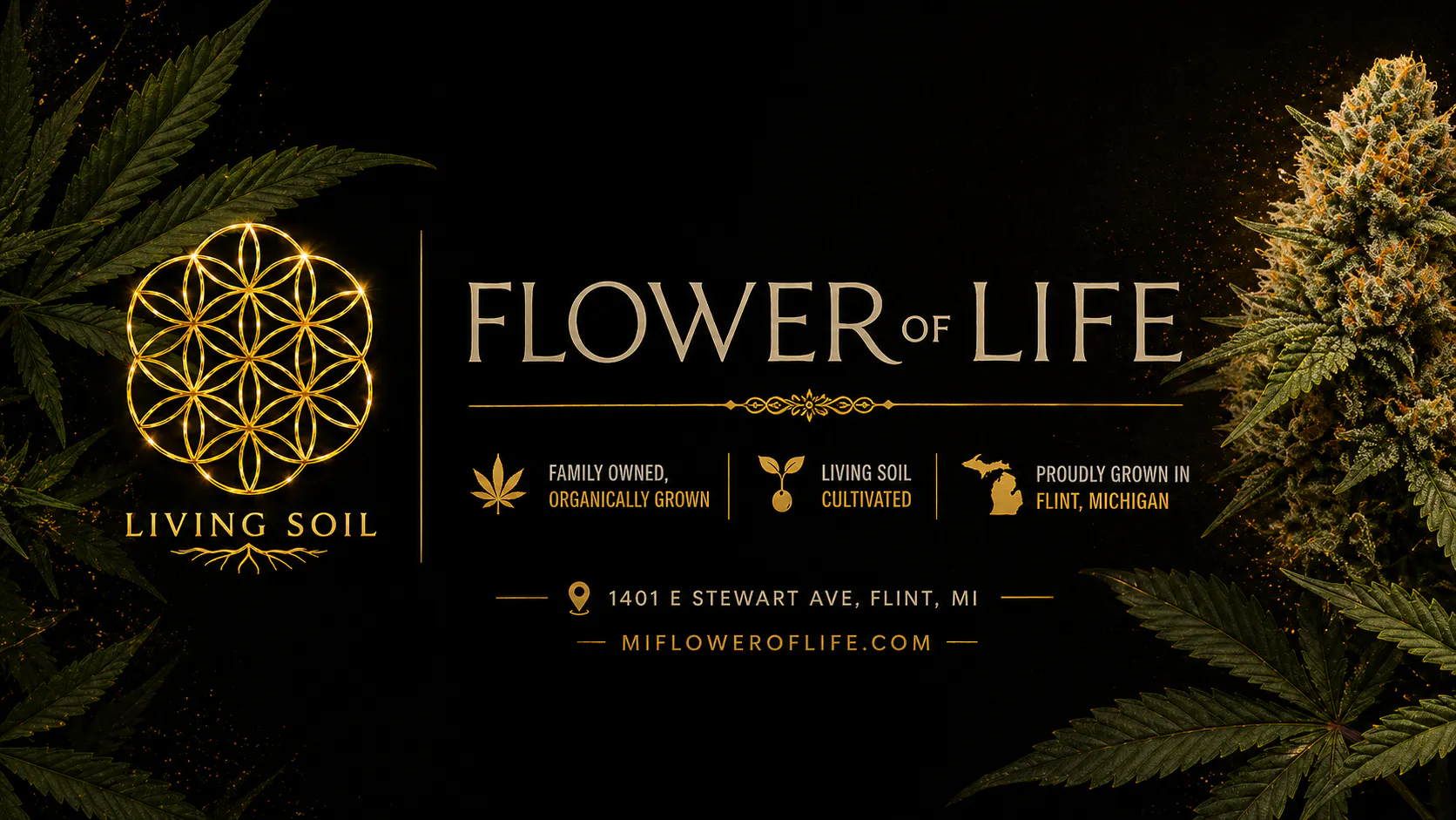 Flower of Life listing banner