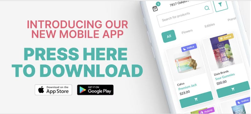 The Station listing banner