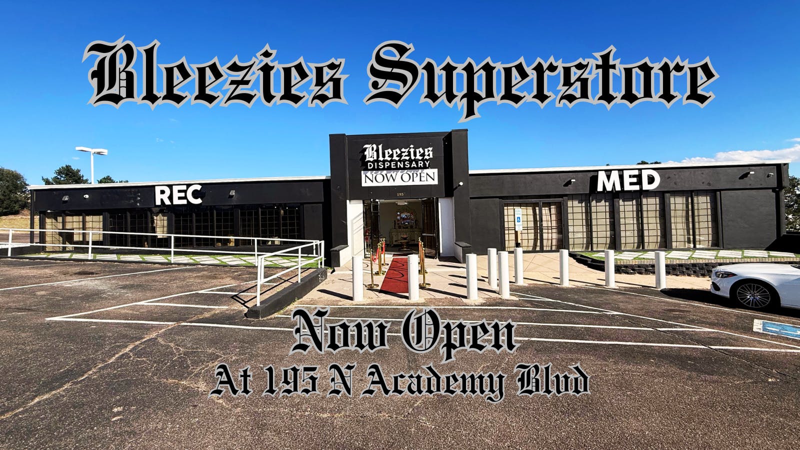 Bleezies listing banner