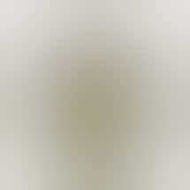 Worner Brothers Outpost - Soldotna