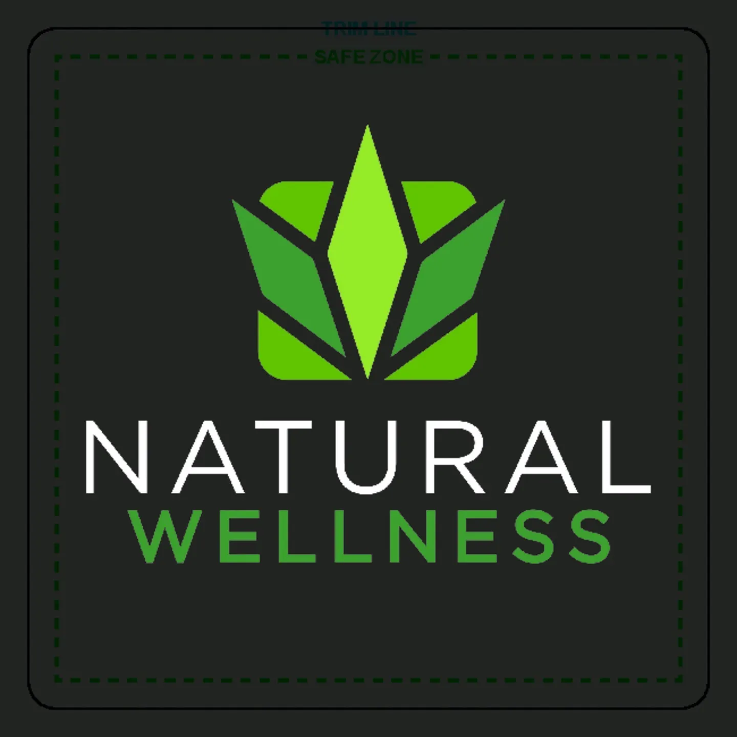 Natural Wellness Havre